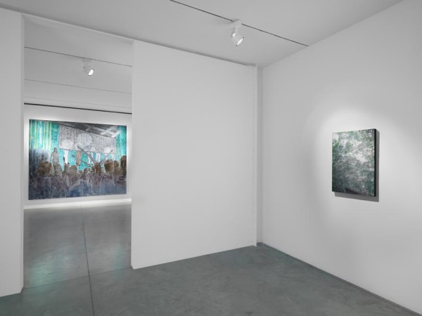 Ena Swansea: New Paintings. Oct 27 - Dec 17, 2016. albertz benda, New York. Photo by Christopher Burke Studio