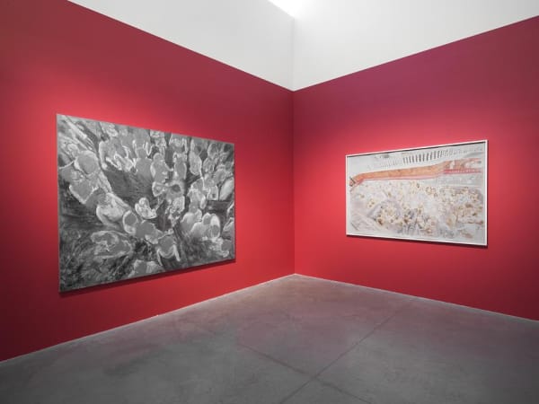 Ena Swansea: New Paintings. Oct 27 - Dec 17, 2016. albertz benda, New York. Photo by Christopher Burke Studio