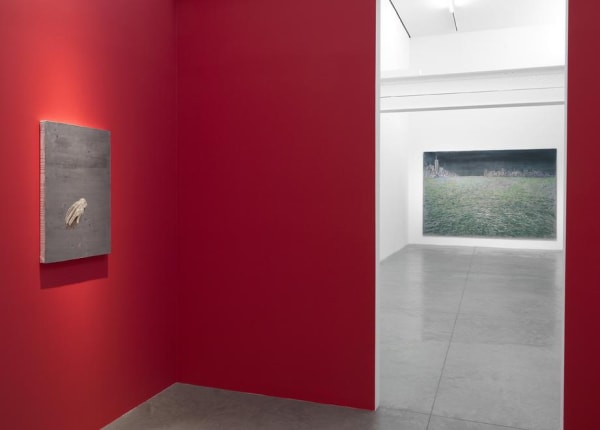 Ena Swansea: New Paintings (installation image). Photo by Christopher Burke Studio
