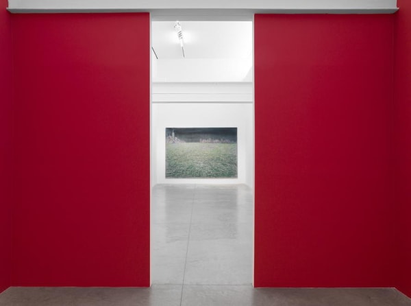 Ena Swansea: New Paintings (installation image). Photo by Christopher Burke Studio