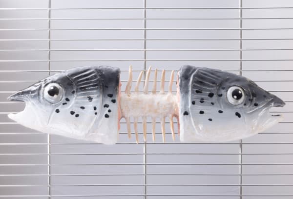 Lindsey Lou Howard [American, b. 1997] Two Sided Salmon, 2023