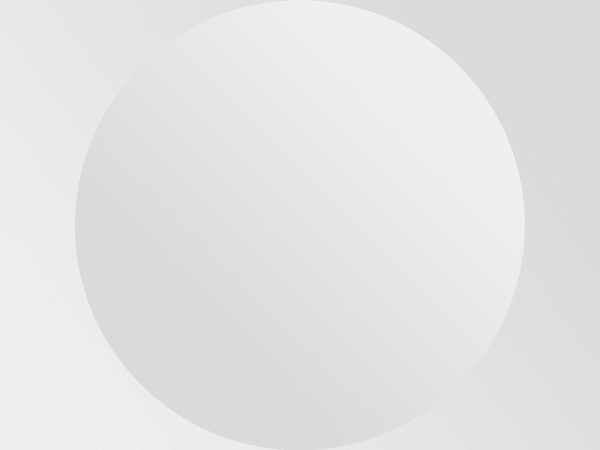 Artist Style Guide, Title, 2000