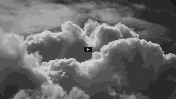 Artist Style Guide, Video Test, 2022