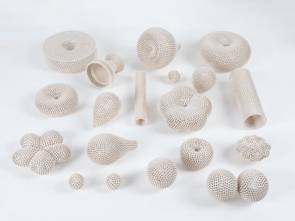 Tony Marsh: Cut Flowers and the Ethereal