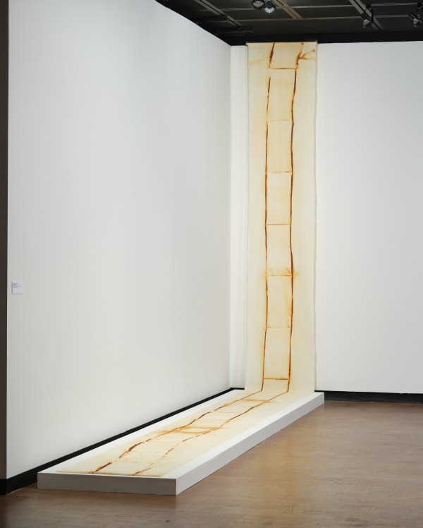 Tanya Aguiñiga acquired by the Wichita Art Museum , Wichita Art Museum, Wichita, KS