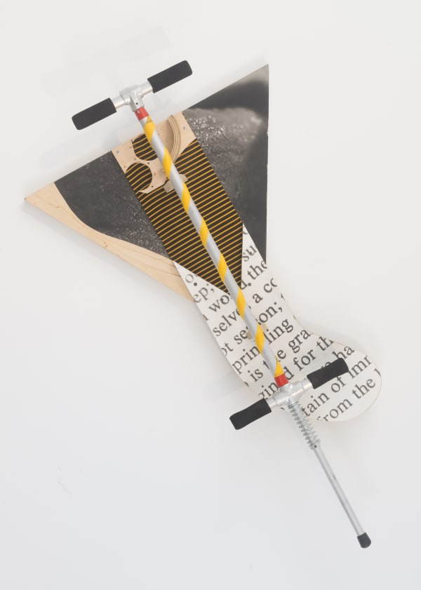 Bill Beckley [American, b. 1946] Photo Pogo 4, 1988