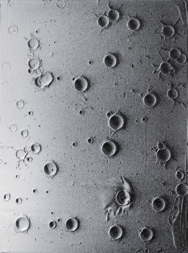 Thomas Fougeirol [French, b. 1965] Rain Picture, 2016