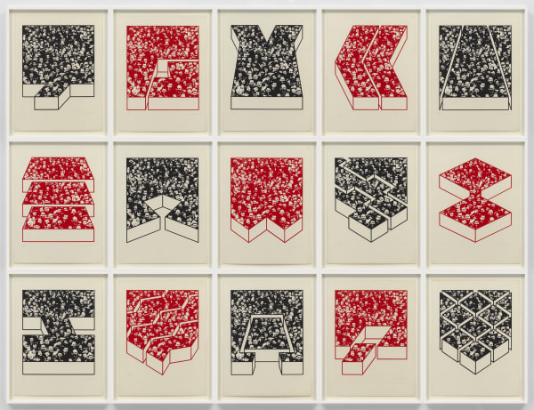Regina Silveira - Touch #11, 2013