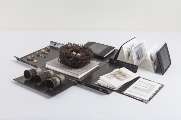 Every Life Is A Fire, 2009–2015