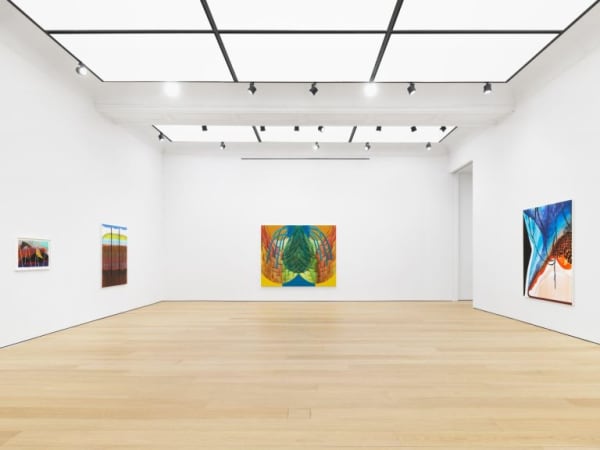 Installation view at Alexander Gray Associates. Photo courtesy of the gallery.
