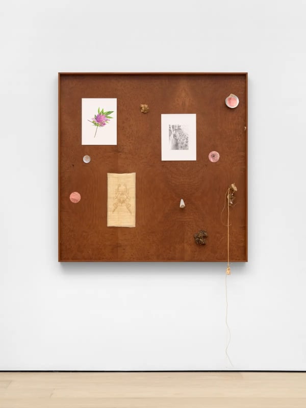 Kang Seung Lee, "Untitled (Skin, Constellation 7)," 2024. Graphite, watercolor, acrylic, paper, mother of pearl, mother of pearl buttons, goatskin parchment, antique 24K gold thread, sambe, dried fish scale, wild olive burl, drift wood, ebony bark, pebble, pearls, silver wire, straw braid, bookbinding cord, redwood burl veneer mounted on Dibond, mahogany frame, 48 3/8 x 48 3/8 x 2 1/4 inches. Courtesy Alexander Gray Associates, New York; Commonwealth and Council, Los Angeles and Mexico City; Gallery Hyundai, Seoul. © 2025 Kang Seung Lee.