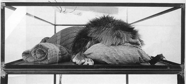 Ricardo Brey. "Signs in the dust," 2000. Installation with glass, cardboard and stuffed animal. 180 x 140 x 100 cm.