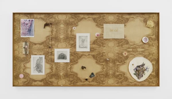 Kang Seung Lee, Untitled (Skin, Constellation 5), 2024. Courtesy of Alexander Gray Associates, New York