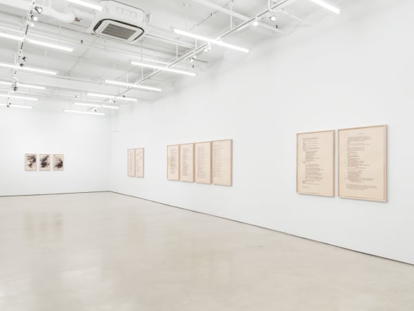 Bethany Collins: Undercurrents