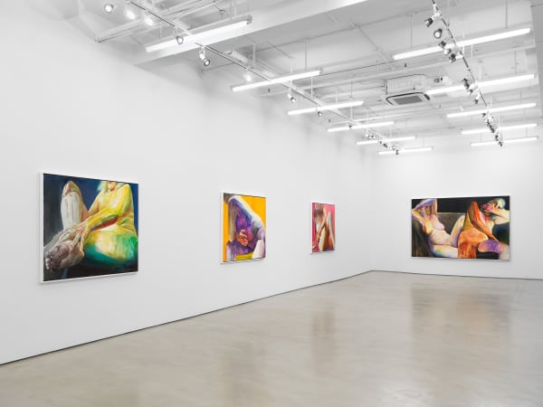 Joan Semmel A Balancing Act