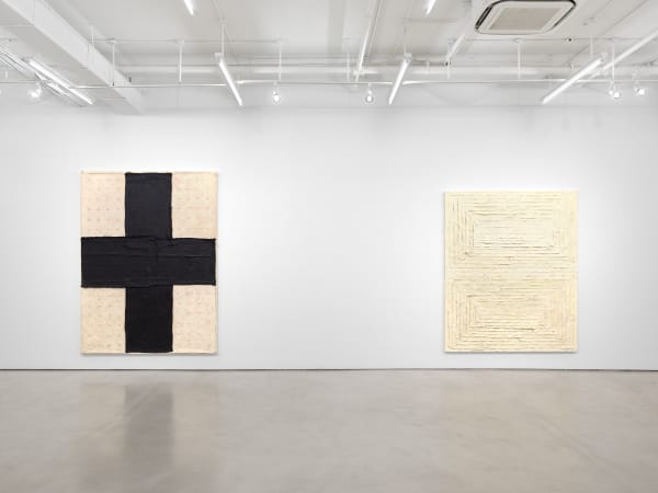 Harmony Hammond Crossings