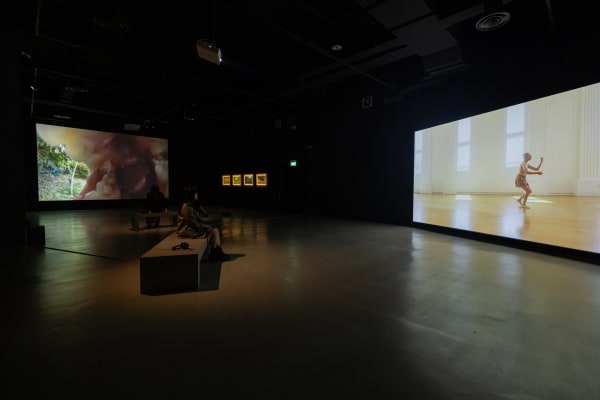 Installation view of Lee Kang Seung’s Skin (2024) as part of Lost & Found: Embodied Archive at SAM at Tanjong Pagar Distripark. Image courtesy of Singapore Art Museum.