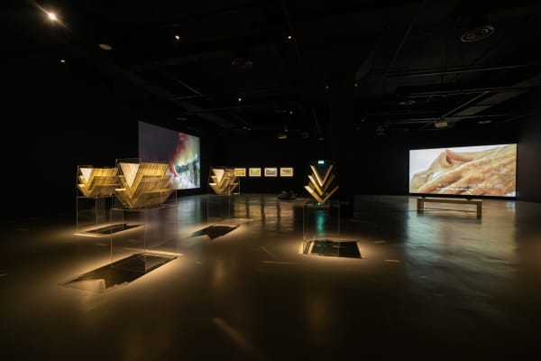 Installation view of Lee Kang Seung’s Skin (2024) as part of Lost & Found: Embodied Archive at SAM at Tanjong Pagar Distripark. Image courtesy of Singapore Art Museum.