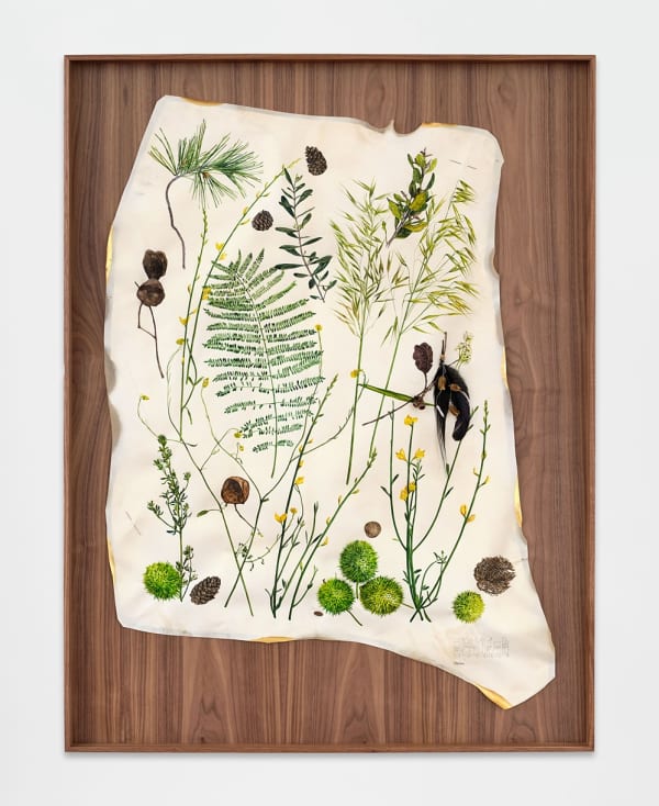 Untitled (Elysian), 2023 Watercolor, graphite, dried seeds from Elysian Park, piercing needles, antique 24K gold thread, silver wire, pearls, feathers, 24K gold leaf, brass nails on goatskin parchment 43 x 32 inches (109.2 x 81.2 cm)