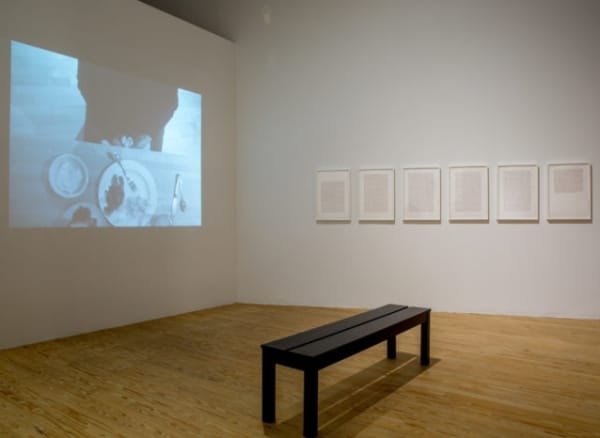 Luis Camnitzer, Coco Fusco