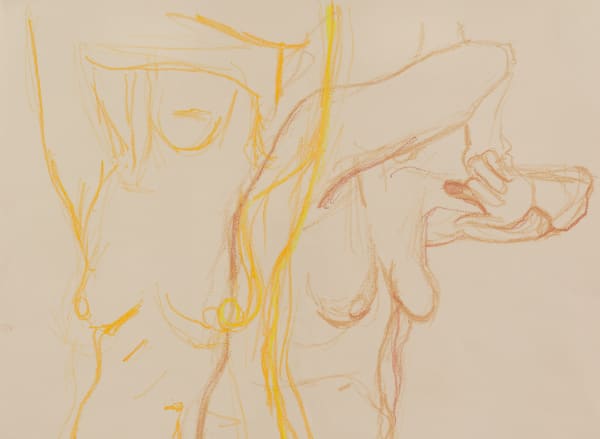 Lorraine O'Grady, Joan Semmel