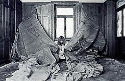 Estate of Heidi Bucher