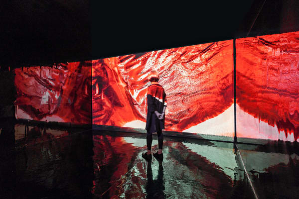 Zheng Chongbin Chimeric Landscape, 2015 Environmental video installation 20 minutes Installation view Personal Structures: Crossing Borders, 2015 European Cultural Centre, Palazzo Bembo and Palazzo Mora, Venice, Italy