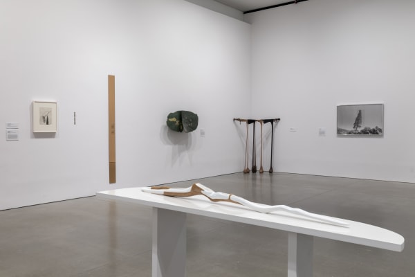 Taylor Davis Selects: Invisible Ground of Sympathy, 2023-24 Installation view Institute of Contemporary Art/Boston, MA Photography by Mel Taing