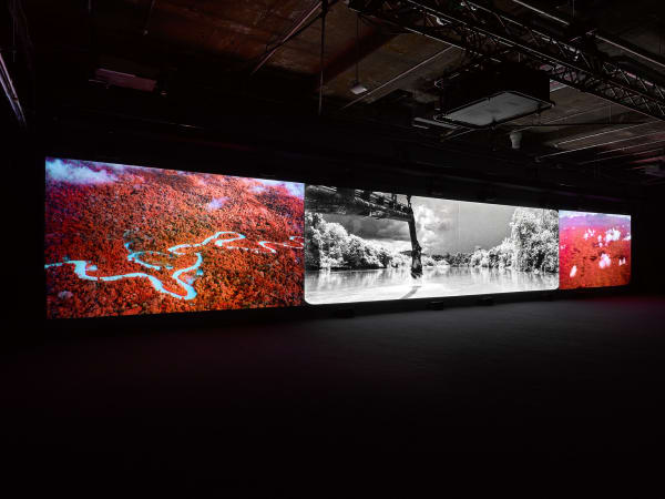 Richard Mosse Broken Spectre, 2018 - 2022 Four channel video installation with 12.2 surround sound 74 minutes 11 seconds Produced in Brazil and Ecuador Installation view 180 Studios, London, 2022 Photography by Jack Hems
