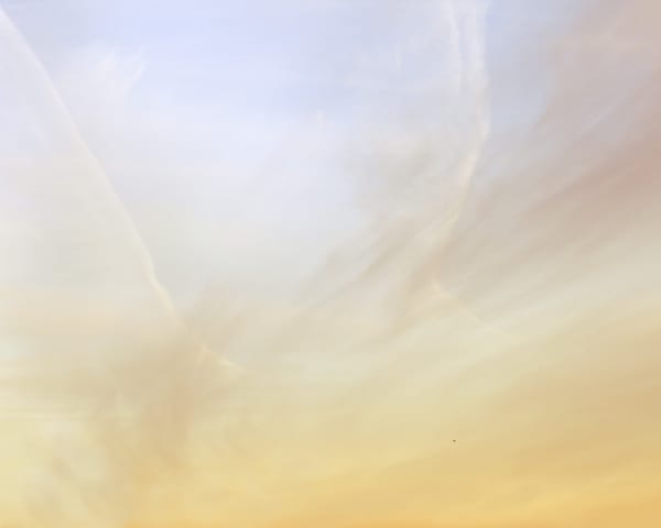 Trevor Paglen Untitled (Reaper Drone), 2010 C-print 48 x 60 in 121.92 x 152.4 cm