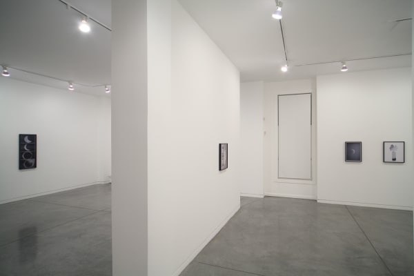Sara VanDerBeek Of Ruins and Light, 2010 Installation view