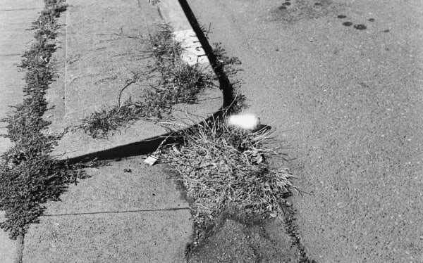 Will Rogan Can, 2010 Gelatin Silver Print 16 x 20 in 40.64 x 50.8 cm