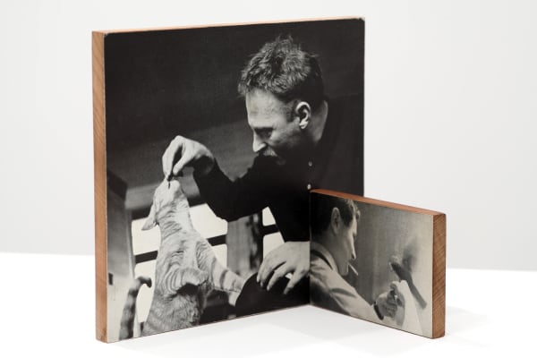 Will Rogan Mediums 2, 2010 Paper, wood, beeswax Dimensions variable