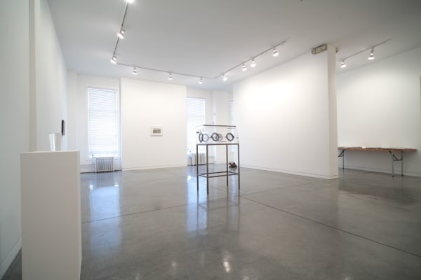 They Knew What They Wanted, 2010 Installation view