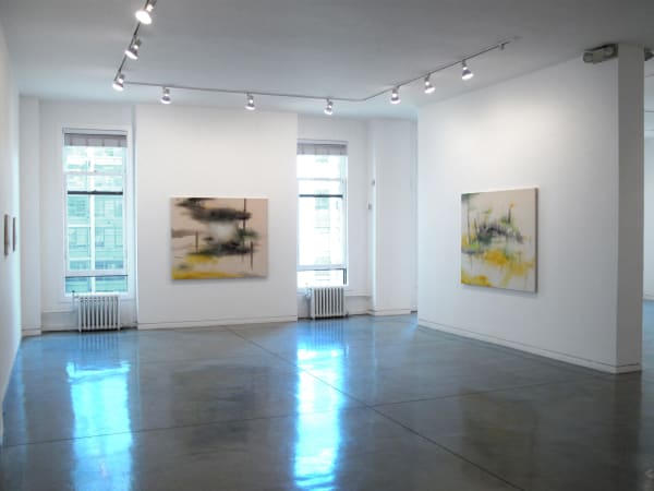 Shinpei Kusanagi Towing Voyage, 2009 Installation view