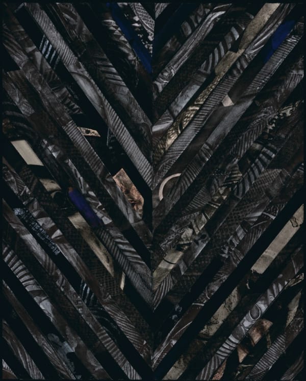 Sara VanDerBeek Continuum Black, 2008 C-print 20 x 16 in 50.8 x 40.64 cm