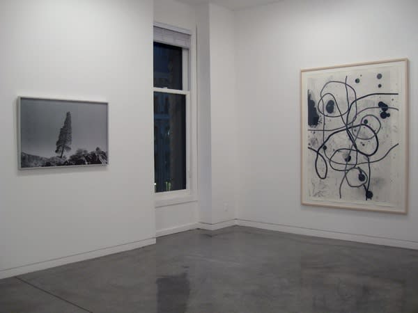 A Wild Night and a New Road Shannon Ebner, Christopher Wool, 2009 Installation view