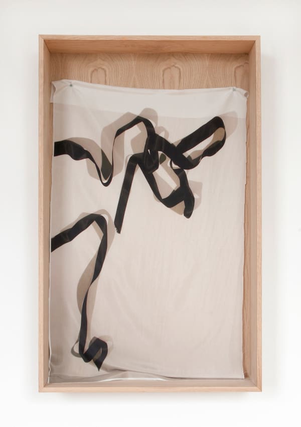 Emily Wardill All over the world tonight, 2011 Inkjet print on silk sheet / Framed / Unique 43 1/4 x 22 in 110 x 56 cm