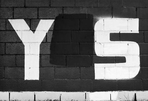 Shannon Ebner Y / S, 2013 Epson print 16 1/2 x 24 in 41.9 x 61 cm