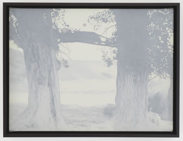 Devin Leonardi Marias, 2012 Oil on canvas 13 3/4 x 15 3/4 in 34.93 x 40.01 cm