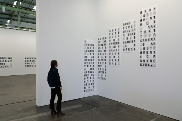 Shannon Ebner WET WORDS IN A HOT FIELD, 2019 Installation view