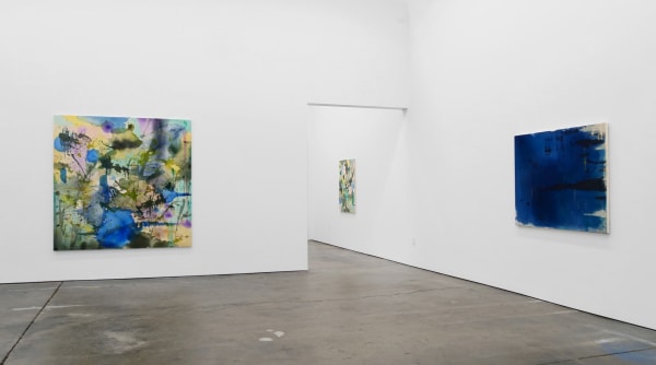 Shinpei Kusanagi Mindlake, 2018 Installation view