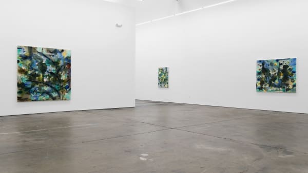 Shinpei Kusanagi Mindlake, 2018 Installation view