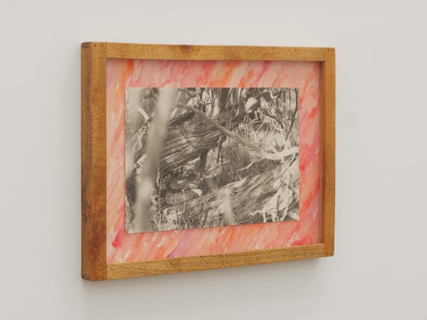 Will Rogan Eclipse Snake, 2018 Gelatin silver print, wood, paint 10 1/4 x 13 x 1 in 26 x 33 x 2.5 cm