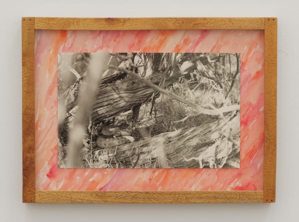 Will Rogan Eclipse Snake, 2018 Gelatin silver print, wood, paint 10 1/4 x 13 x 1 in 26 x 33 x 2.5 cm