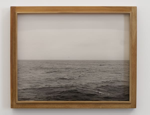 Will Rogan Albatross, 2018 Gelatin silver print, wood 17 1/4 x 21 1/4 x 1 1/2 in 43.8 x 54 x 3.8 cm