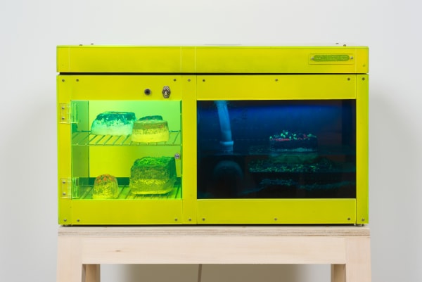 Carl Cheng Erosion Machine No. 1, 1969 Plexiglas, metal racks and fittings, plastic, water pump, LED lights, black light, pebbles, 4 erosion rocks, wood base 15 x 25 x 9 in 38.1 x 63.5 x 22.9 cm