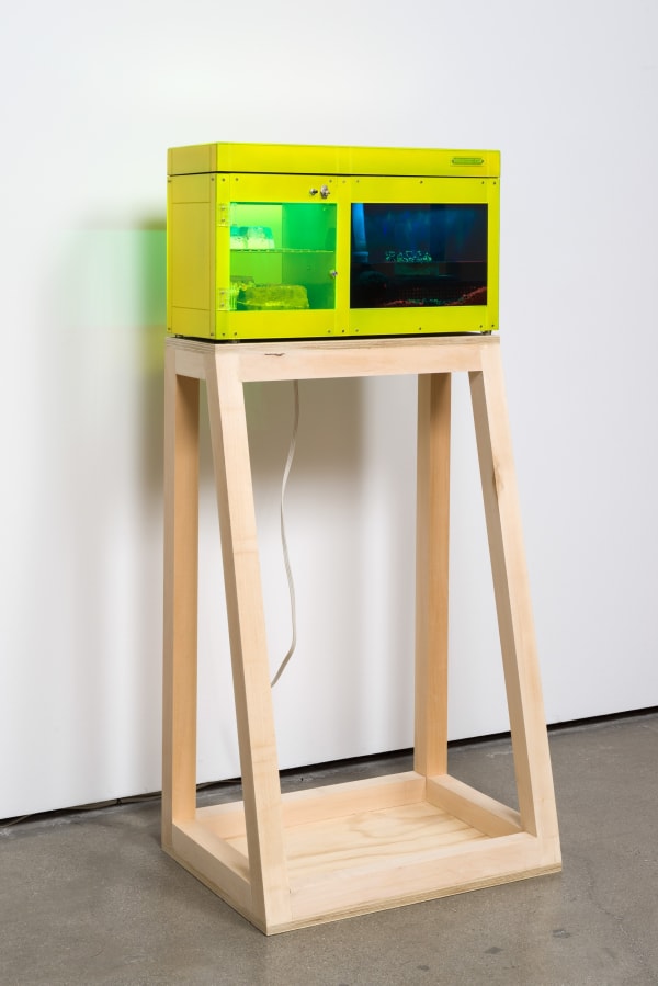 Carl Cheng Erosion Machine No. 1, 1969 Plexiglas, metal racks and fittings, plastic, water pump, LED lights, black light, pebbles, 4 erosion rocks, wood base 15 x 25 x 9 in 38.1 x 63.5 x 22.9 cm