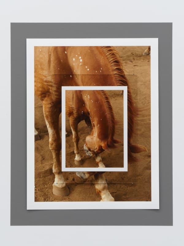 Davida Nemeroff Twice Removed, 2017 Two inkjet prints, glass, nails, and house paint 21 x 26 in 53.3 x 66 cm