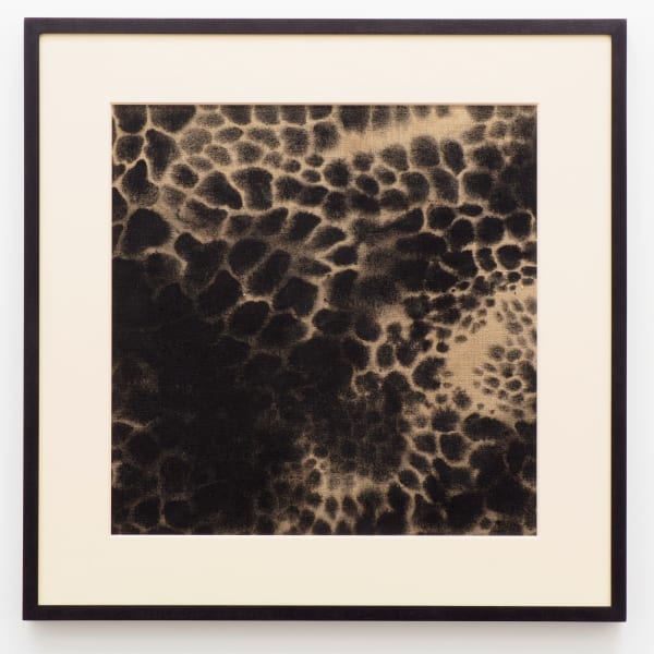 Bruce Conner Untitled, 1975 Oil on canvas 20 x 20 in 50.8 x 50.8 cm